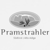 pramstrahler-logo-100x100