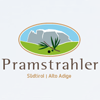 pramstrahler-logo-100x100