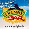 trendybar-logodesign-hawaii