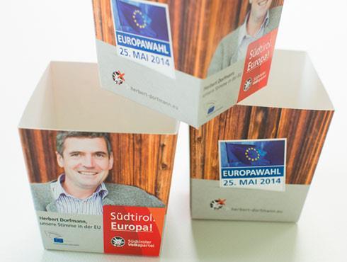 dorfmann-europawahl-2014-blumentopf-1